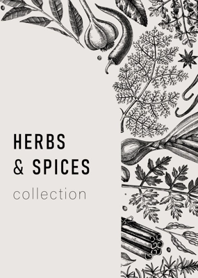Hand-drawn herbs and spices vintage card. Hand-sketched food vector illustration. Aromatic plant drawings. Kitchen herbs and spice frame arc template in sketched style for invitation, menu, banners